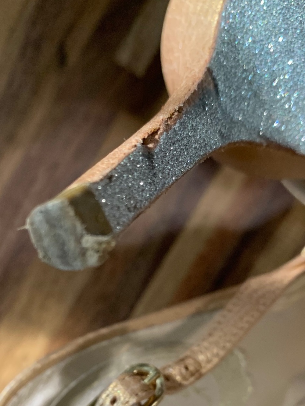 Rene Caovilla Embellished Champagne Heels - Picture 10 of 15